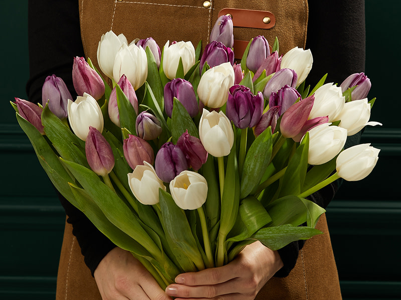 CONTENT CARDS2 800X600