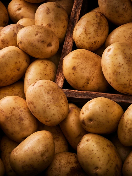 maris piper potatoes
