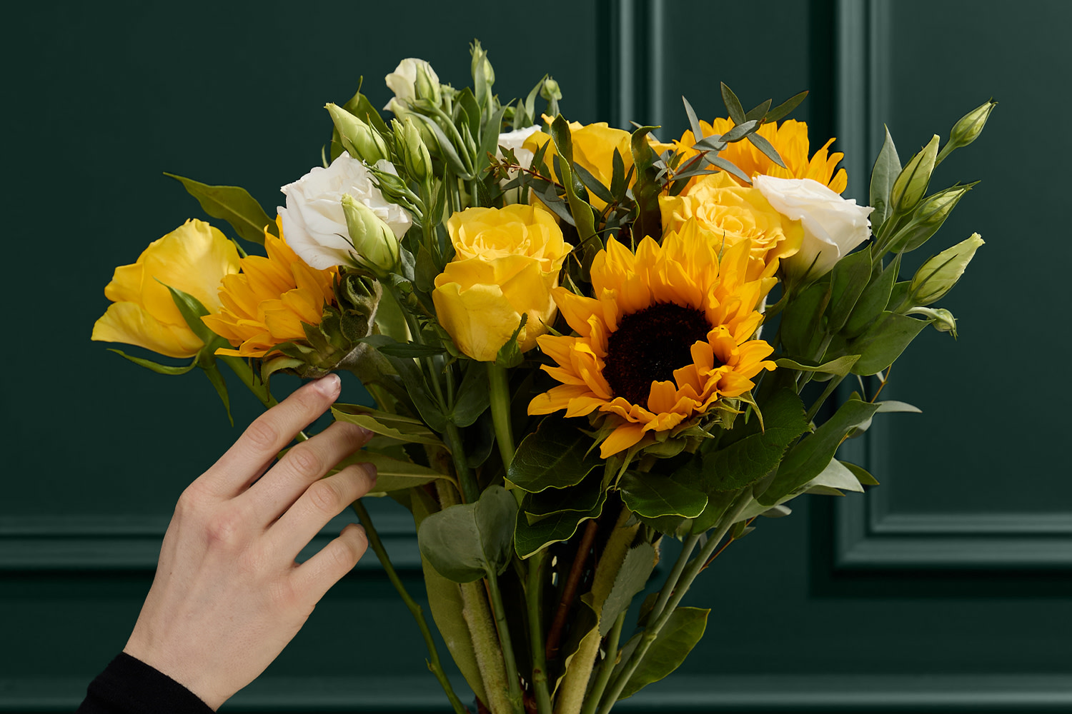 A selection of Sunflowers. Shop Flowers at M&S.
