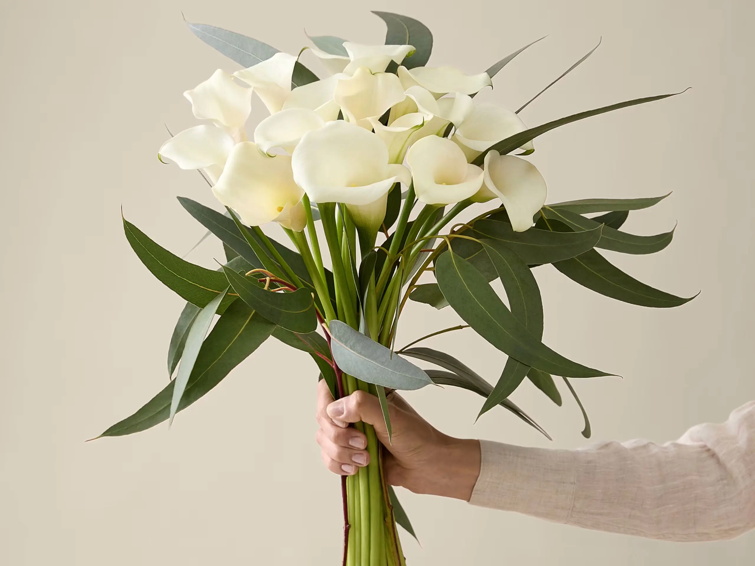 Person holding a Kelly Hoppen calla lily bouquet