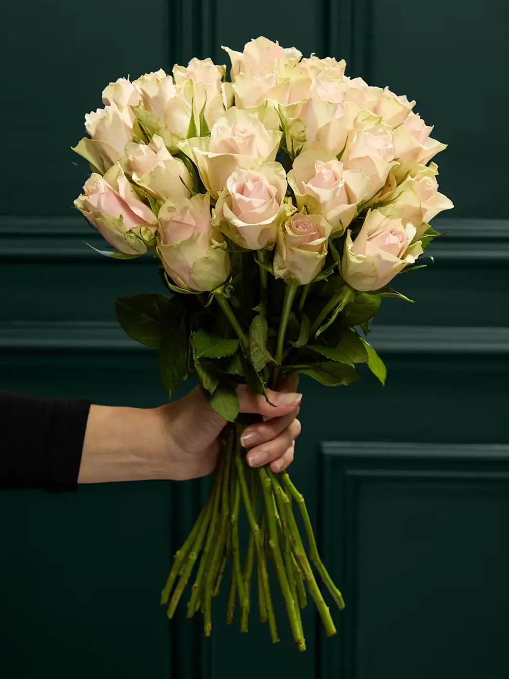 A bunch of white blush roses