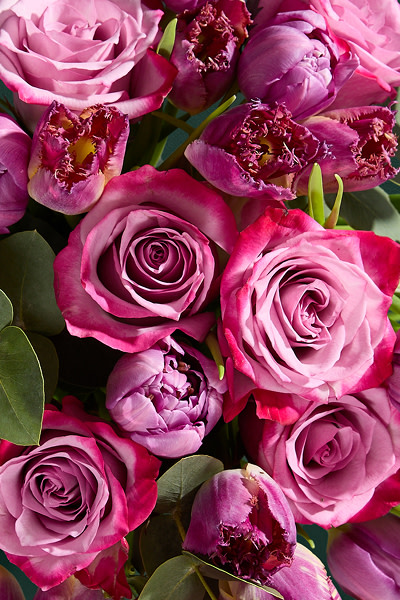 CONTENT CARDS4 400X600