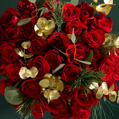 Christmas flowers