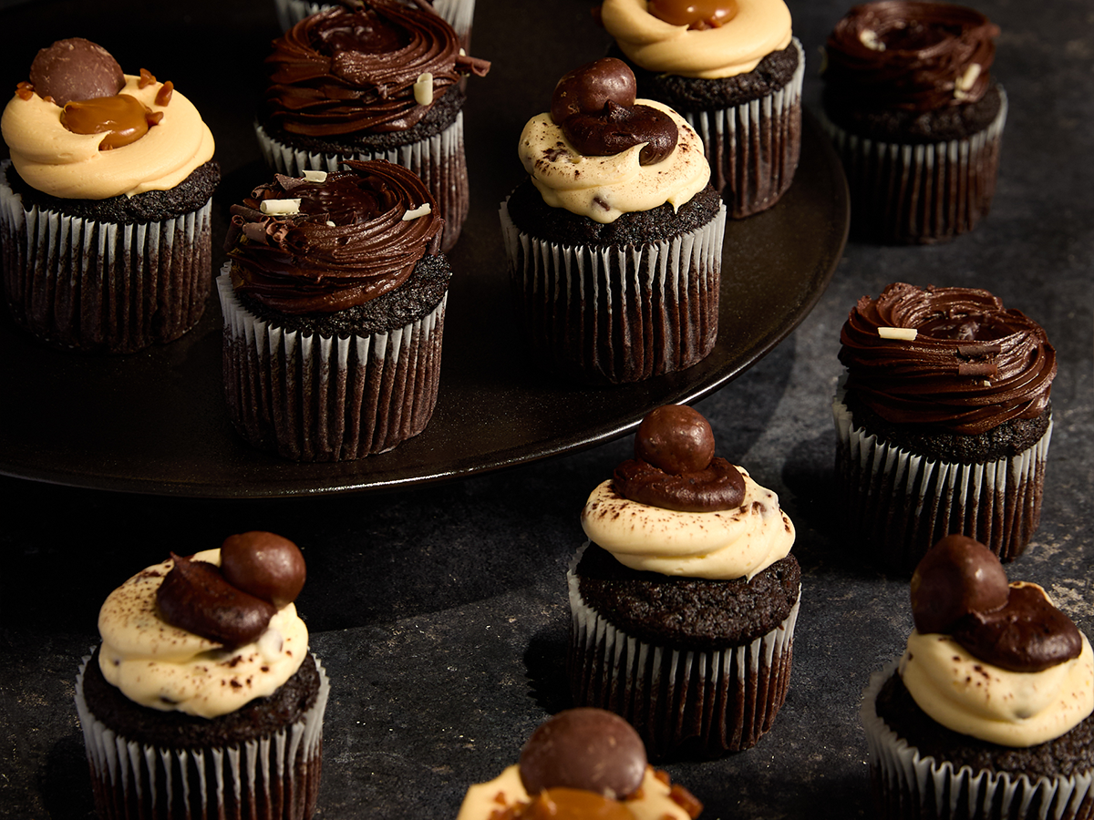 Chocolate Cupcakes