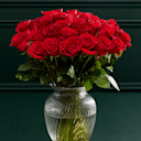 Valentine's Day Roses