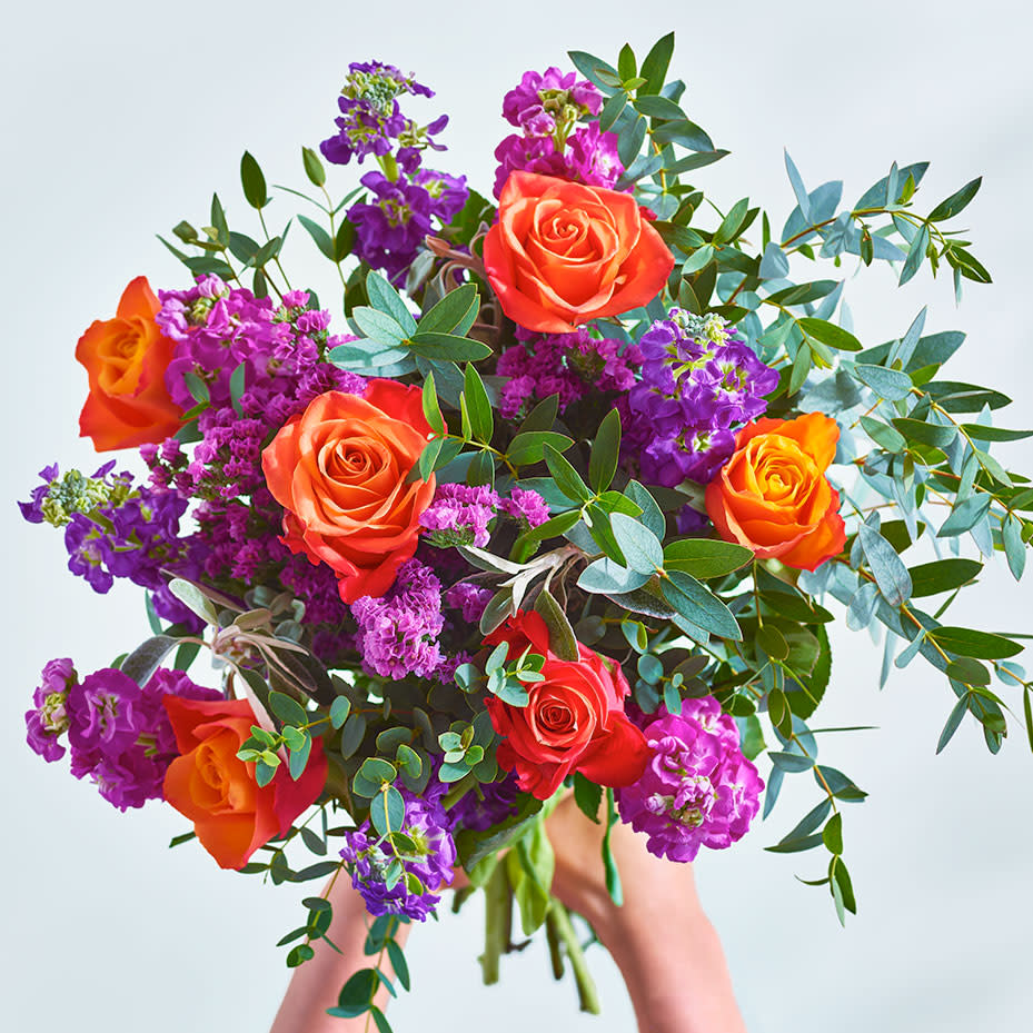 Pair of hands holding colourful purple and coral rose bouquet. Shop Mother's Day flowers