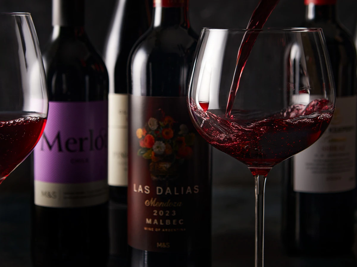 guide to red wine