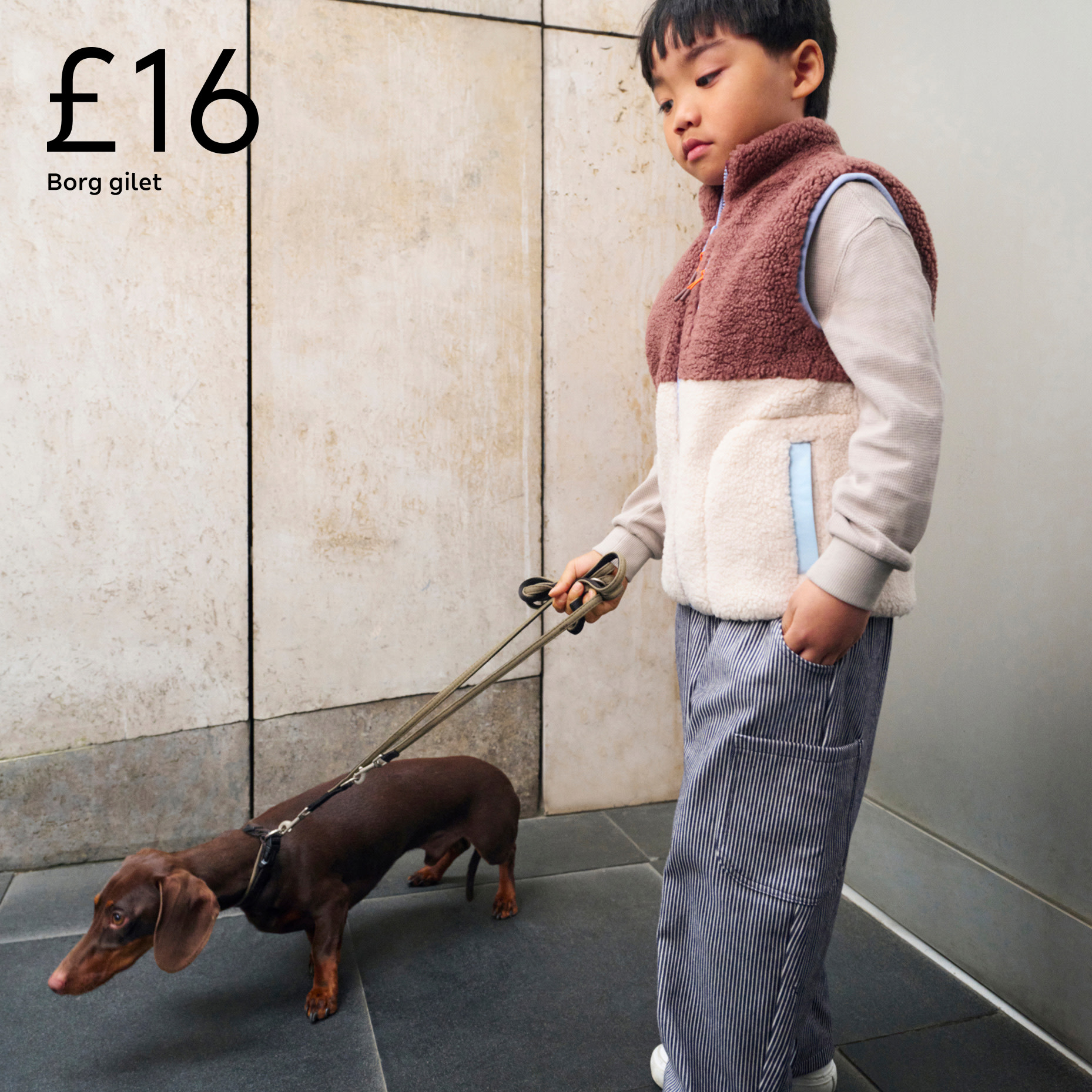 Boy walking dog