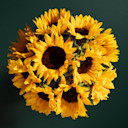 Next Day Delivery Flowers