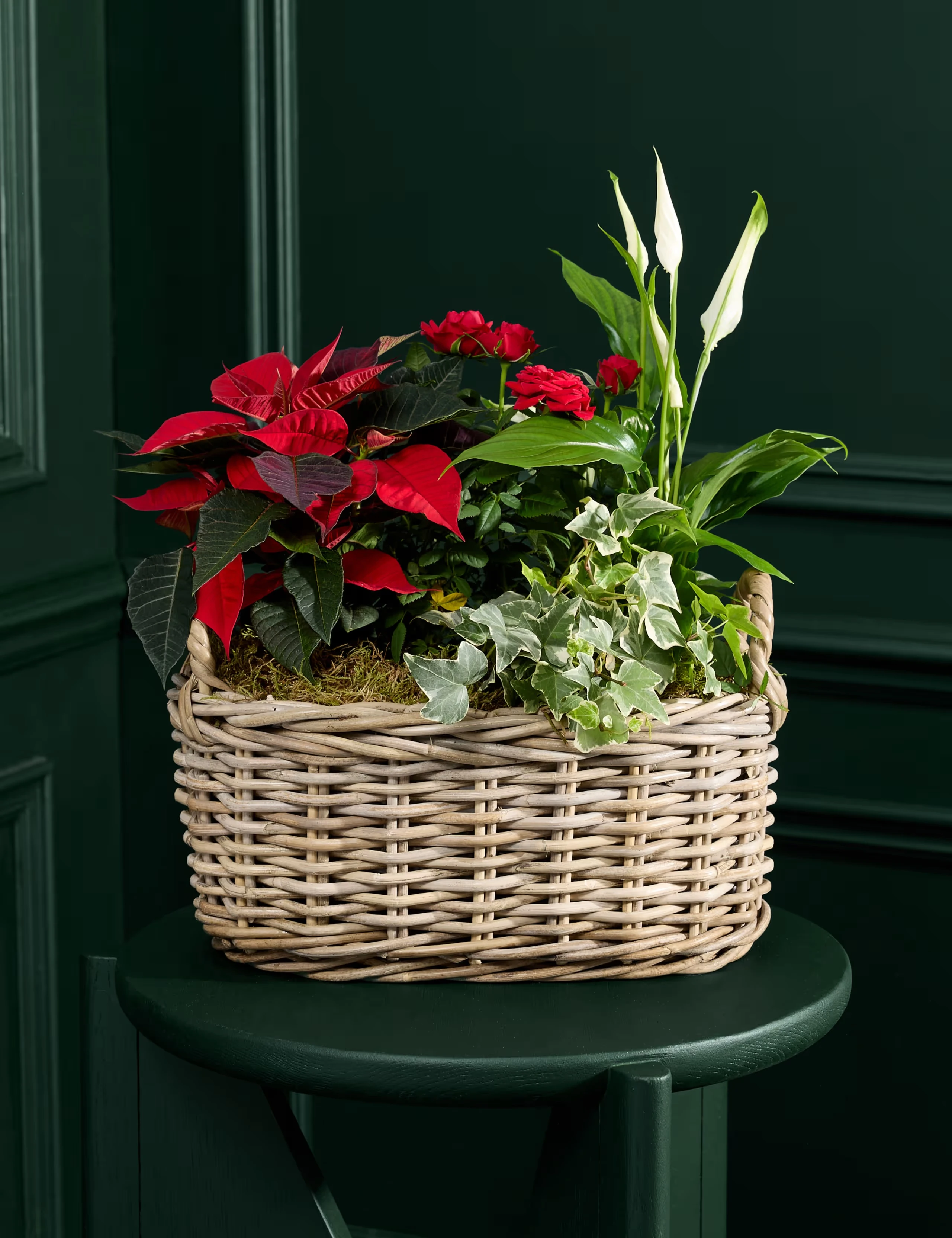 Wicker basket with a red Christmas poinsettia.