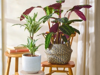 DESKTOP HERO 5-CAROUSEL 3