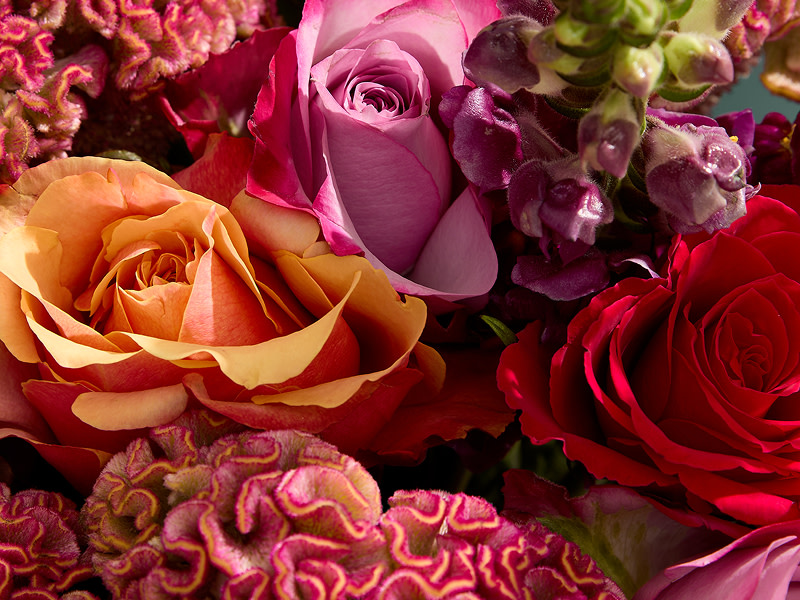 Antirrhinum-Celosia-Bouquet
