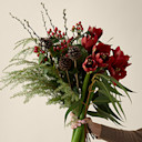 Christmas Flowers & Plants