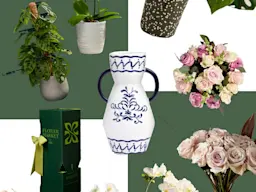 Collage of an assortment of plants, flowers, plant pots and vases