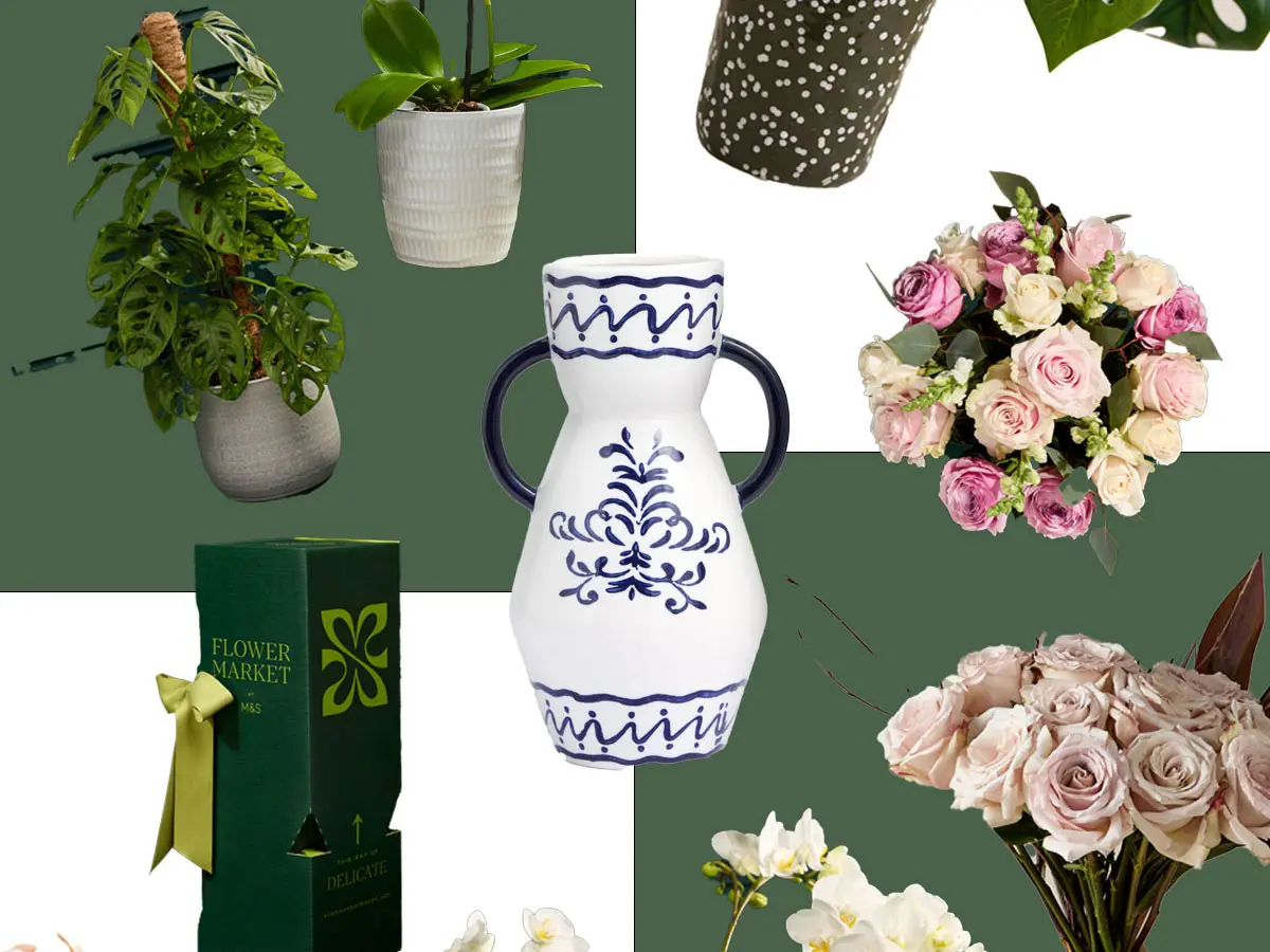 Collage of an assortment of plants, flowers, plant pots and vases