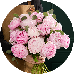 Peonies