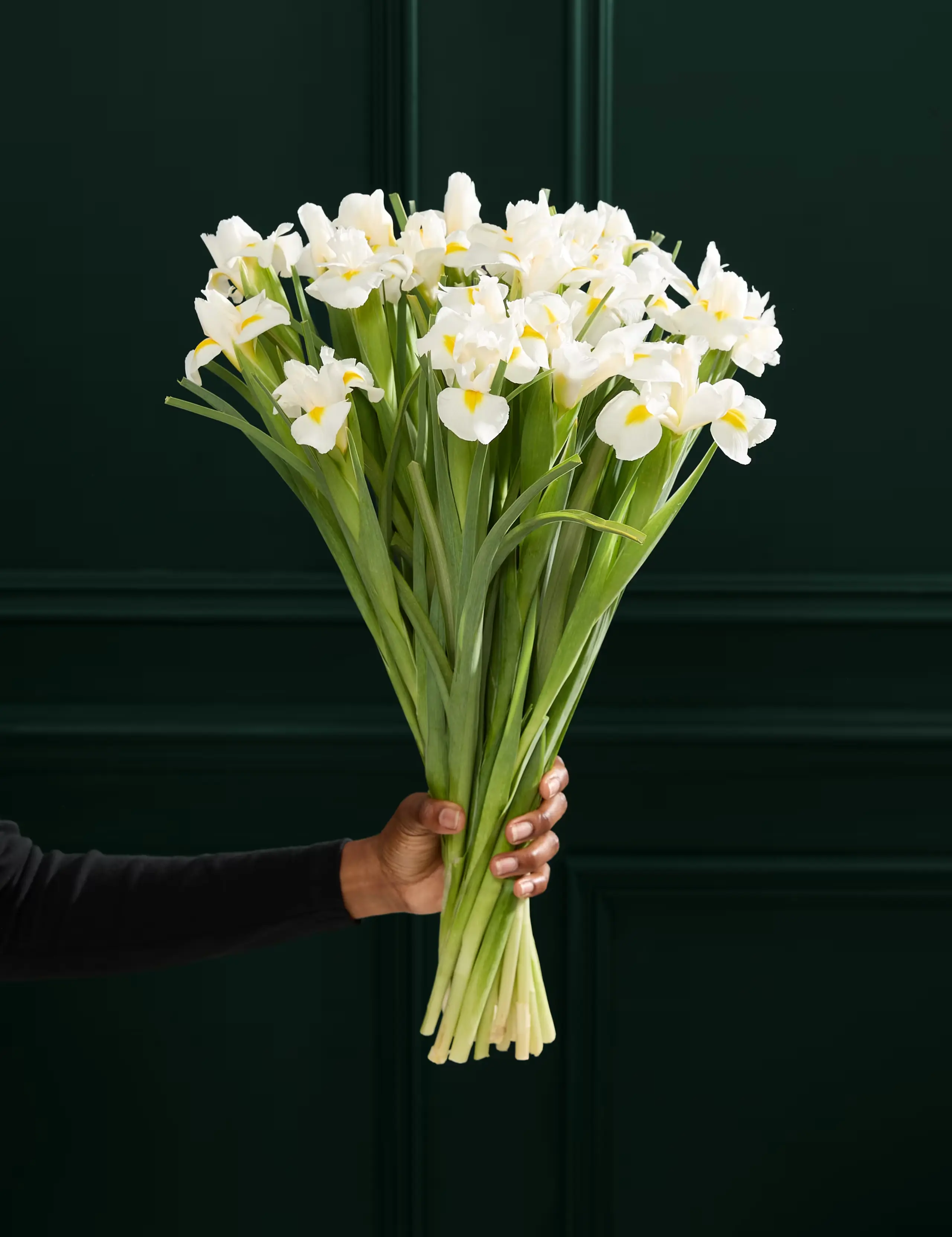 White Iris Letterbox Flowers