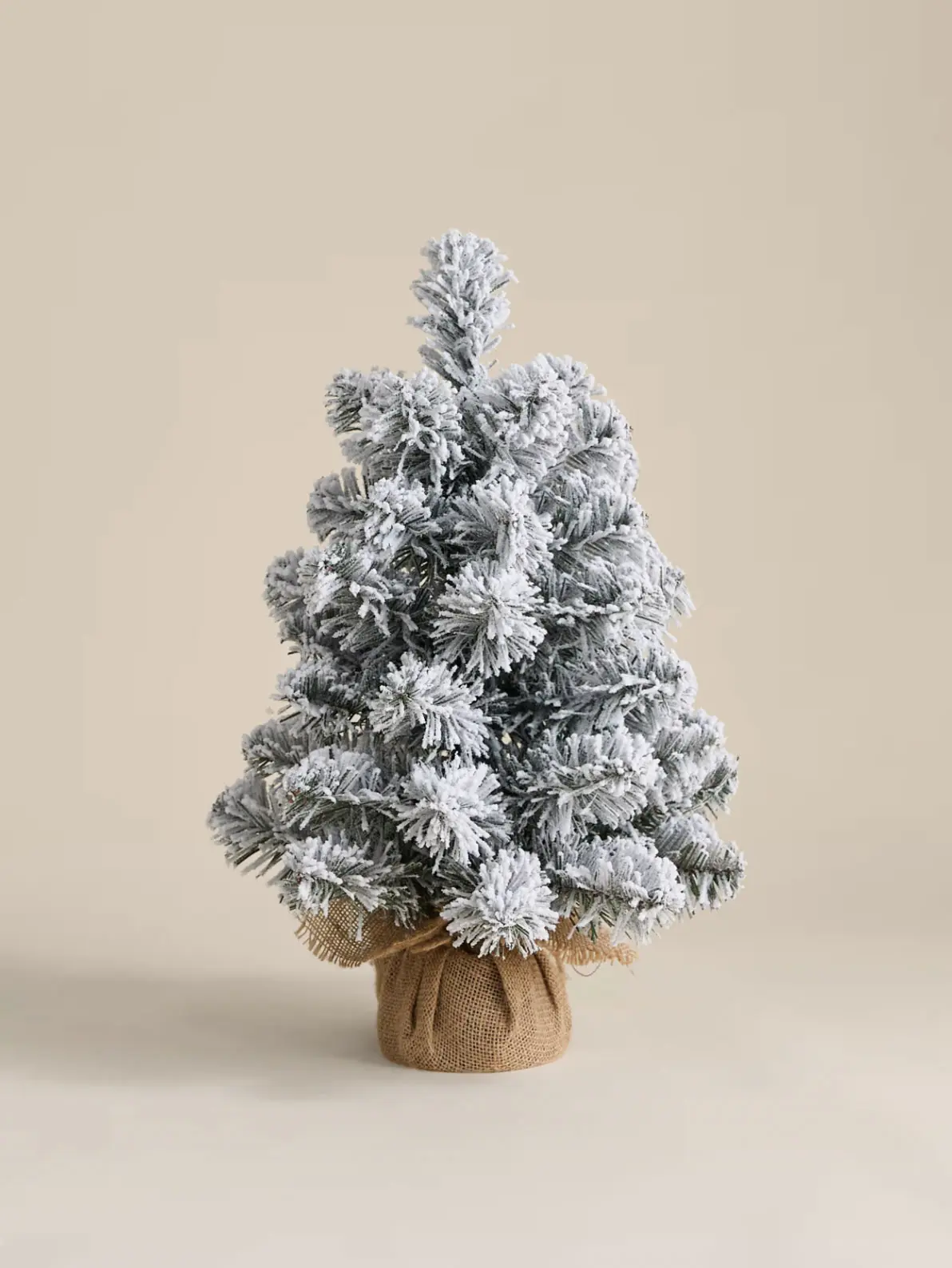 Image of small snow-covered Christmas tree