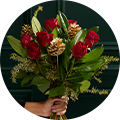 Christmas flowers & plants