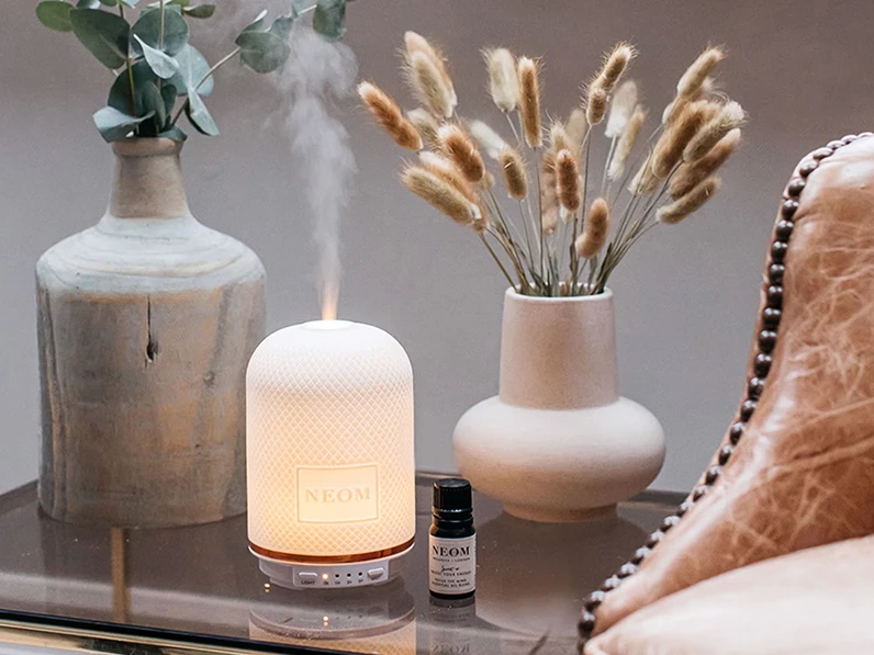 Electronic diffuser and ceramic vases