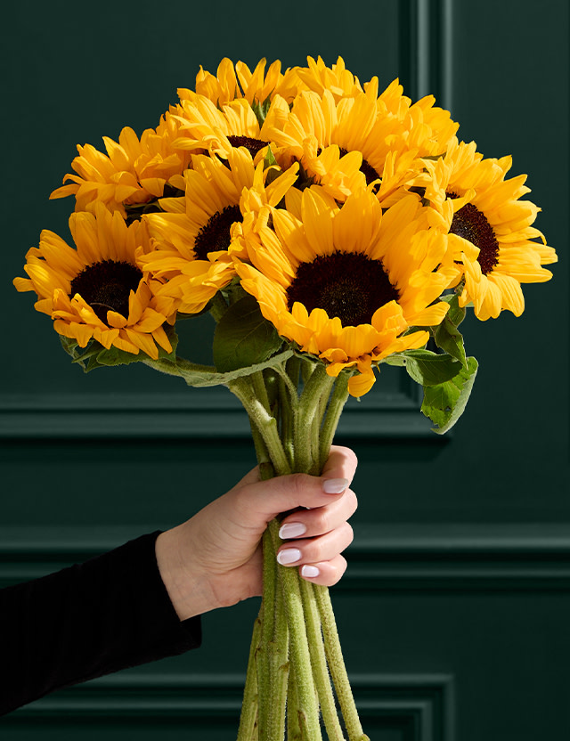 A lovely bouquet. Shop Flowers at M&S.