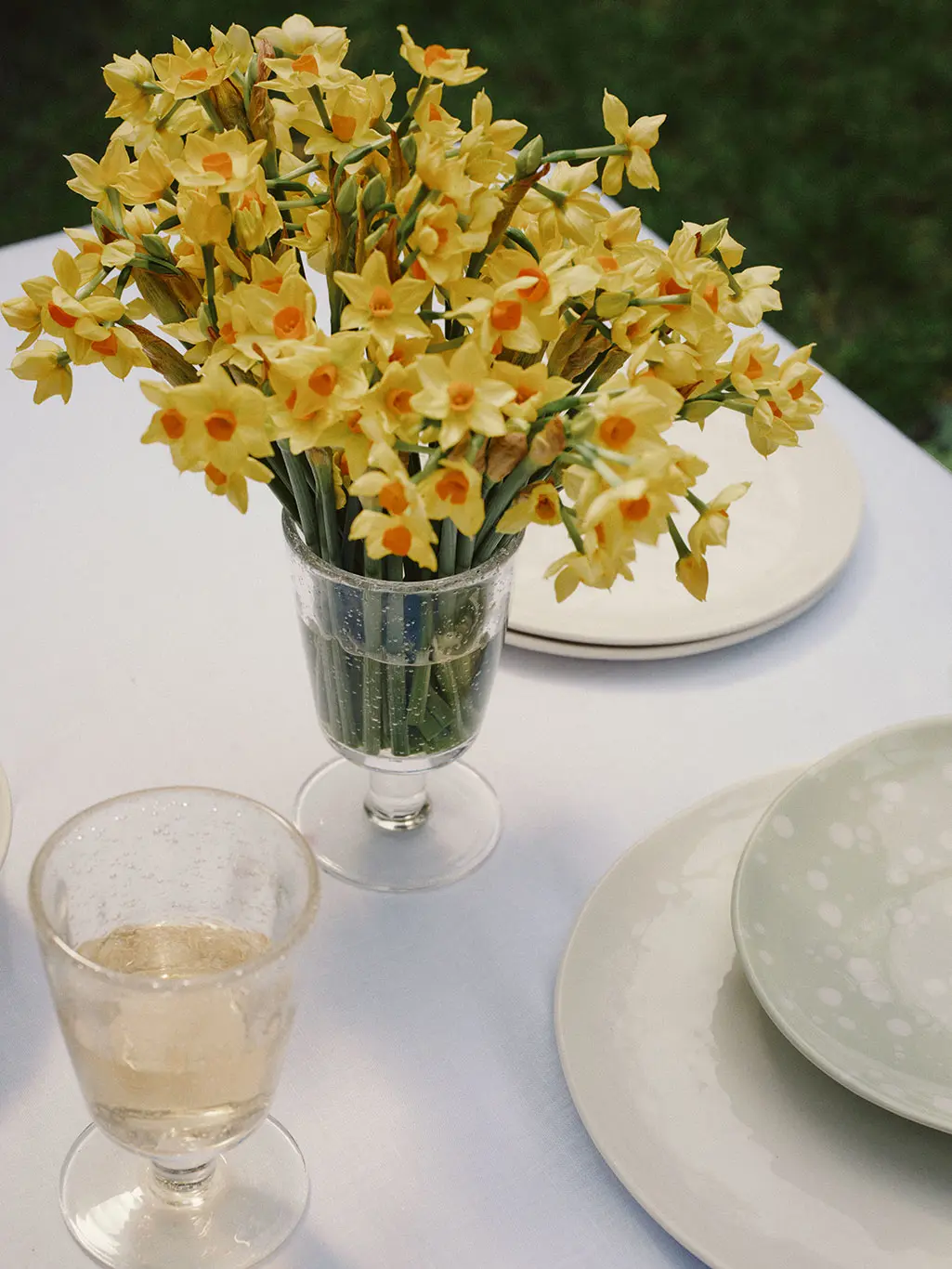 Daffodils on table