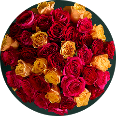 Large rose bouquet