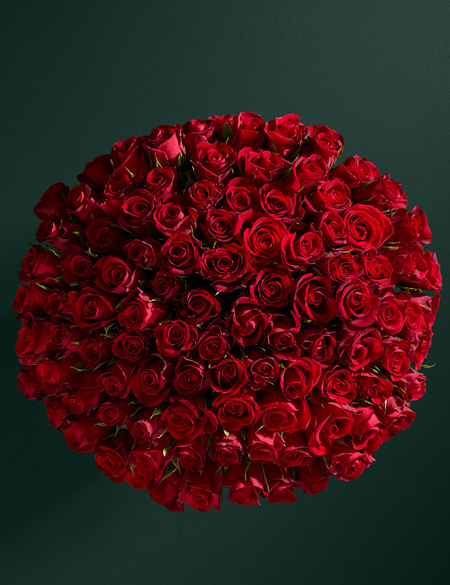 Roses