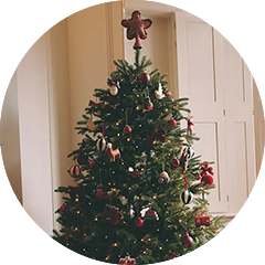 Christmas trees