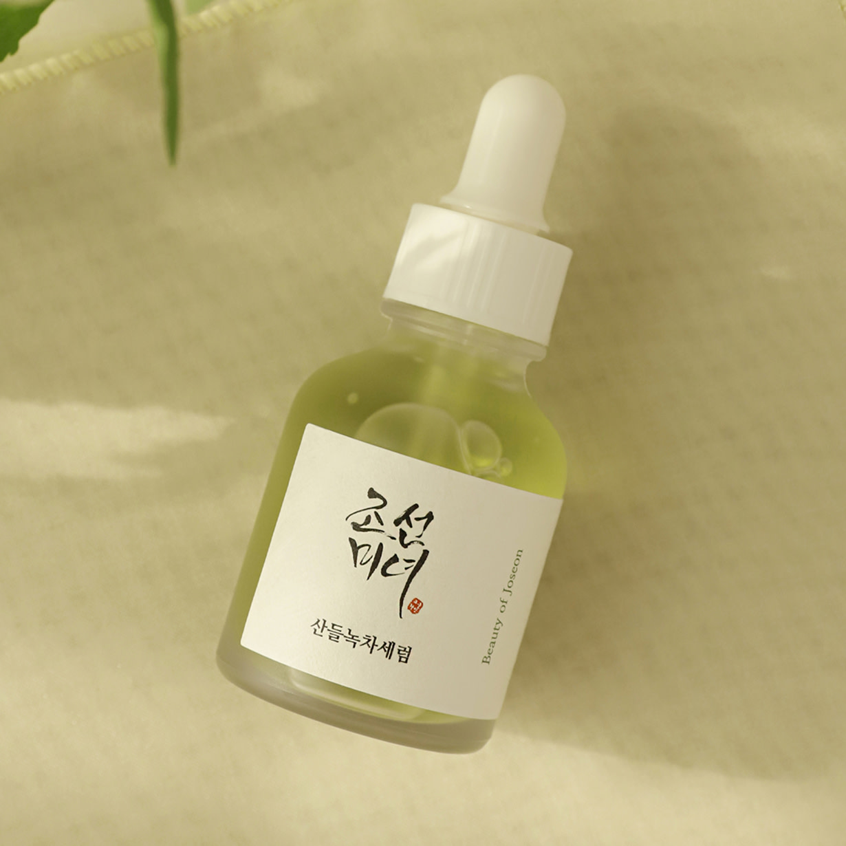 CONTENT CARDS1 1230X1230