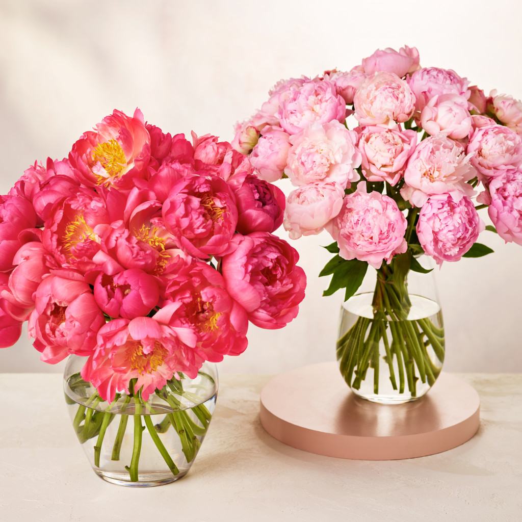 Peonies flowers bouquets. Enjoy free nominated-day delivery