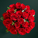 Valentine's Day Flowers