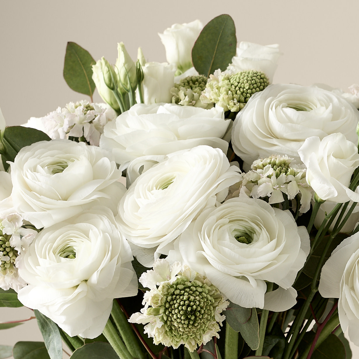 CONTENT CARDS1 1230X1230