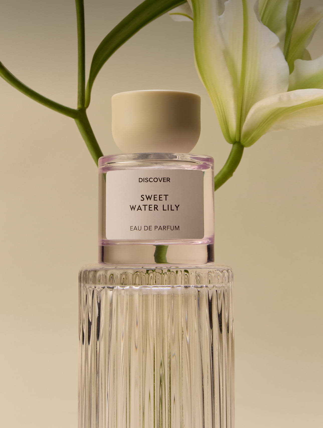 MOB DOUBLE 750x997-2