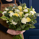 Celebrity Collections