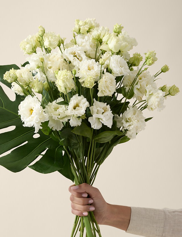 Kelly hoppen bouquets. Shop now