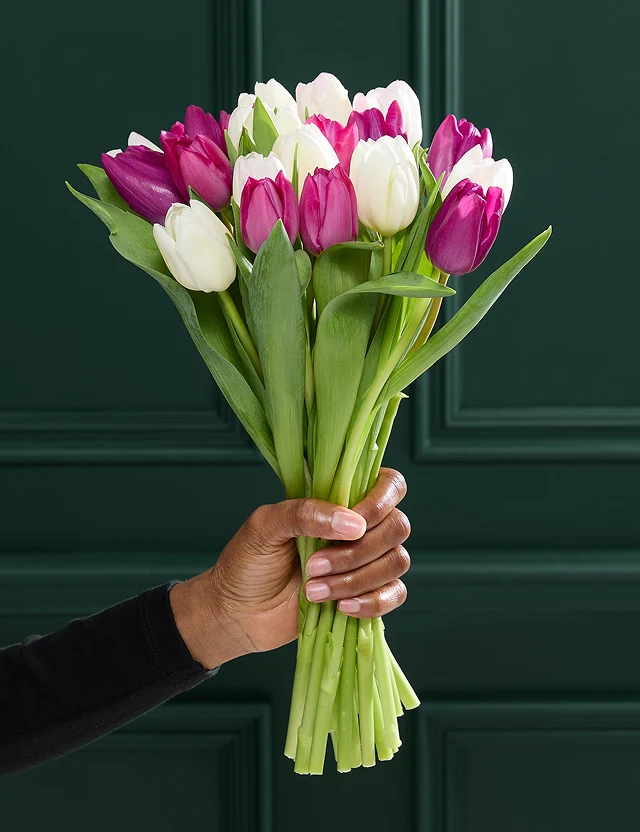 İlkbahar Çiçekleri