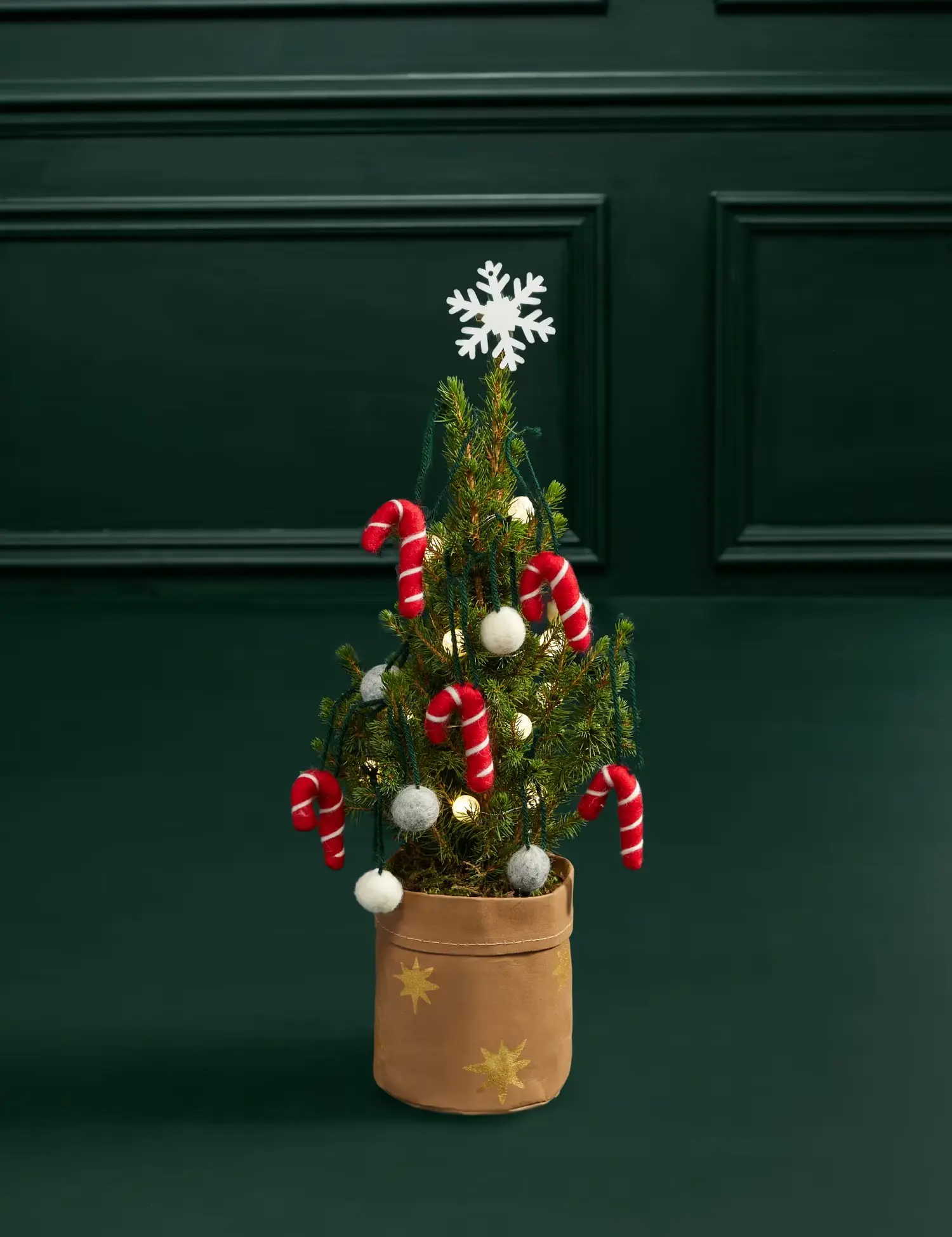 Candy cane letterbox tree