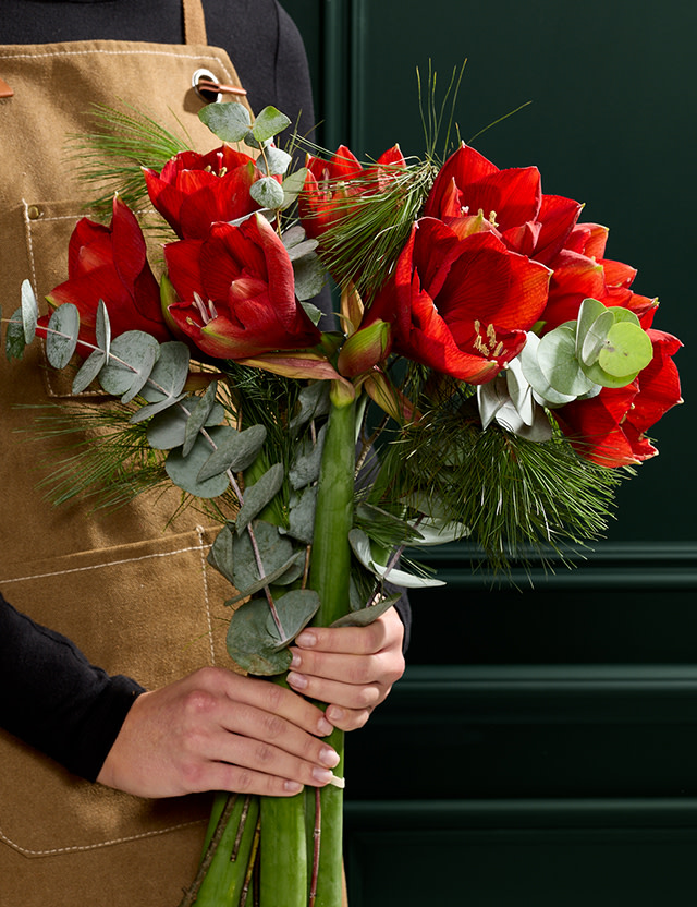 Red Amaryllis Bouquet
