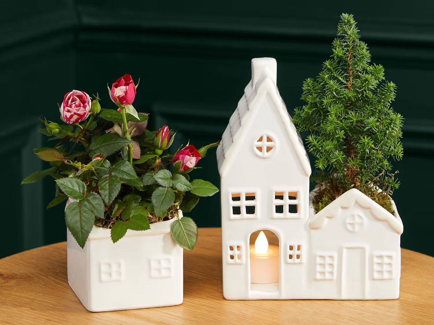 Light Up Houses with Miniature Gigi Rose & Christmas Tree