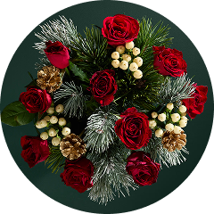 Christmas flowers