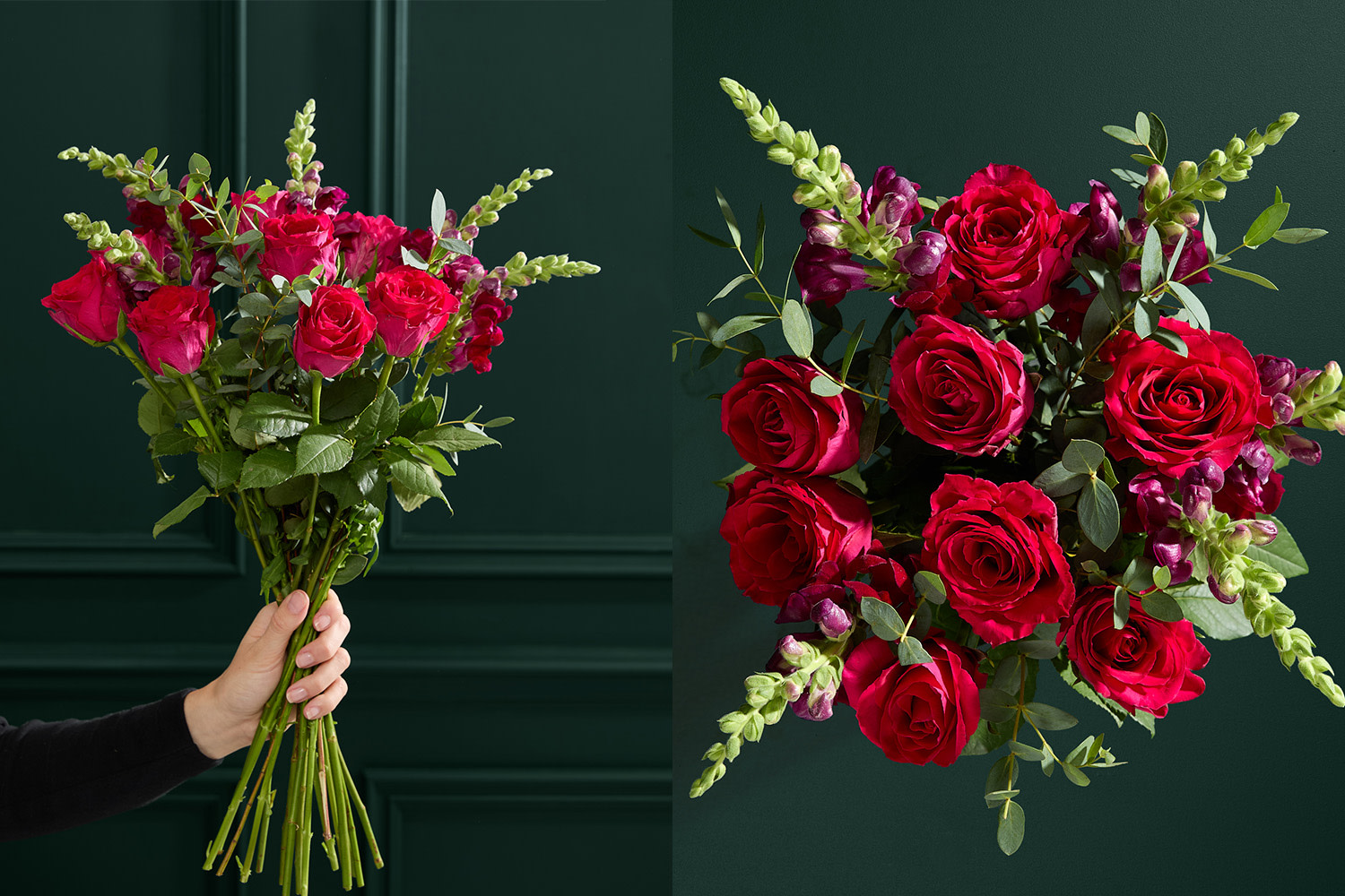 A bouquet of red roses