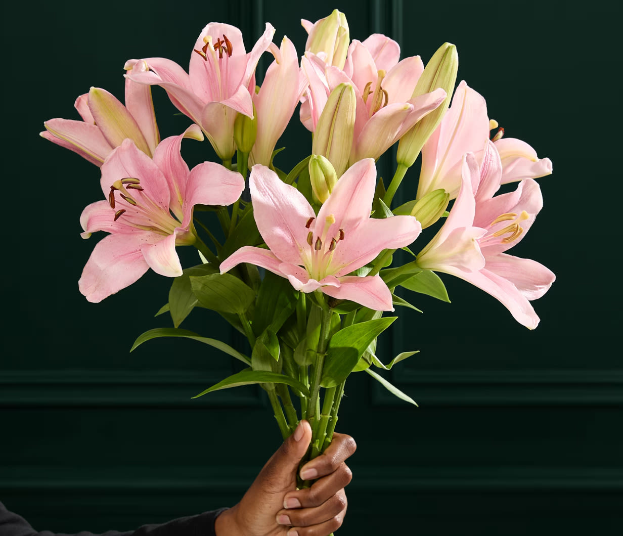 LETTERBOX FLOWERS 1232x1060