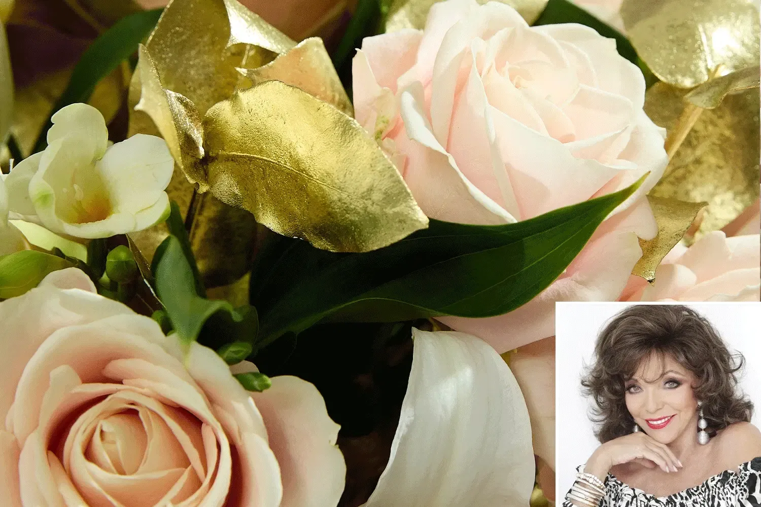 Celebrity collection