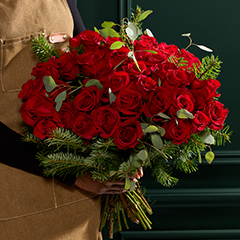 Christmas flowers & plants