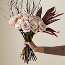 Celebrity Collections