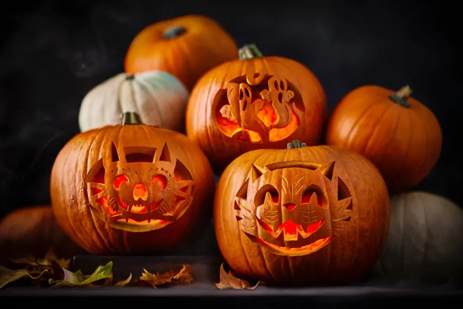How to carve the perfect pumpkin