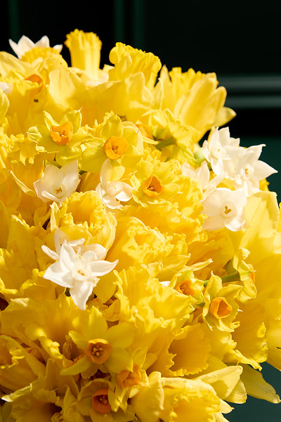 CONTENT CARDS3 400X600