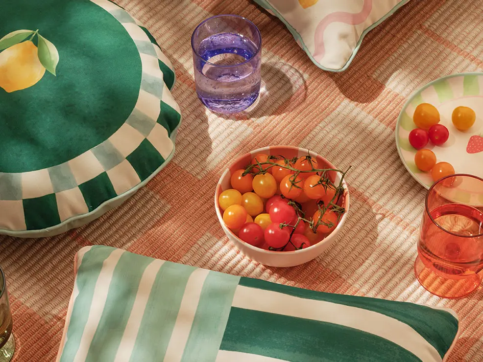 Picnic with cushions and tableware