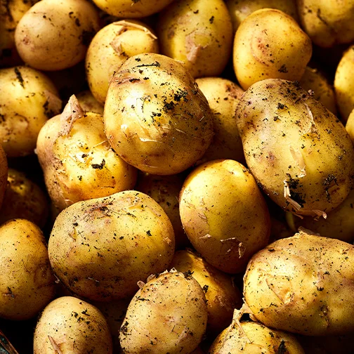 Jersey royal potatoes